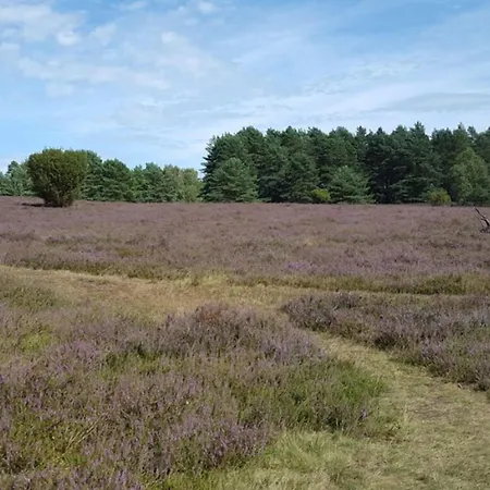 Suedheide Hotell Hermannsburg